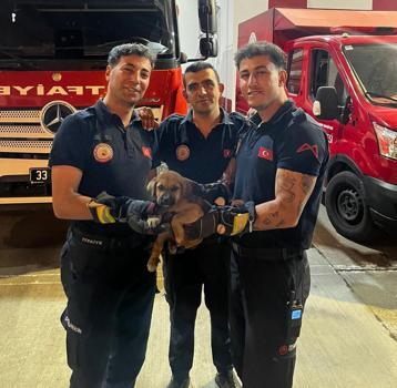 Otomobilin motor bölümünde sıkışan yavru köpeği itfaiye kurtardı