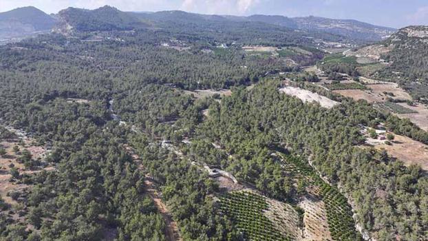 Mersin’de ormanlık alanlara giriş yasaklandı