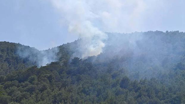 Muğla'da orman yangını