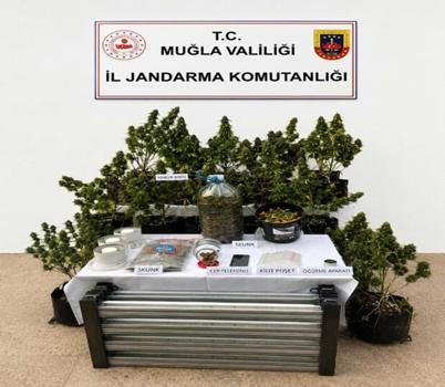 Muğla'da uyuşturucu operasyonlarında 9 tutuklama