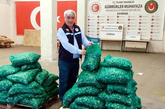 Kapıkule'de 760 kilo kum midyesi ele geçirildi