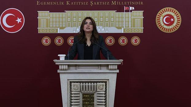 DEM Parti'li Koçyiğit: Barışın hukuka ihtiyacı var