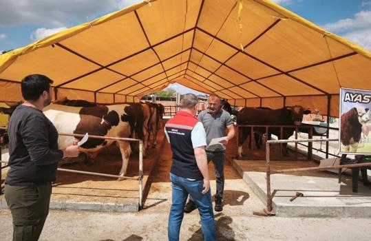 Tekirdağ'da kurban pazarında sıkı denetim