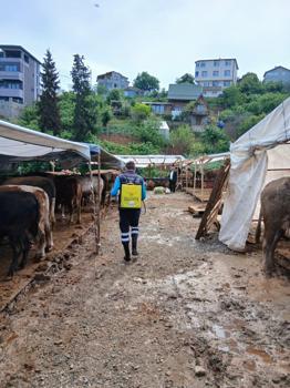 Büyükşehir'den kurban alanlarında hijyen seferberliği
