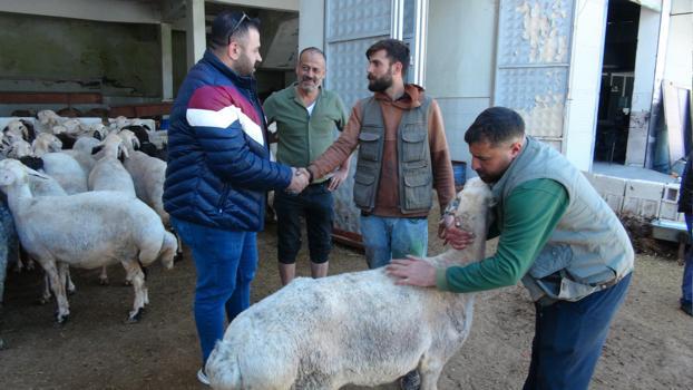 Kilis'te kurbanlık pazarlarında hareketlilik son günlere kaldı