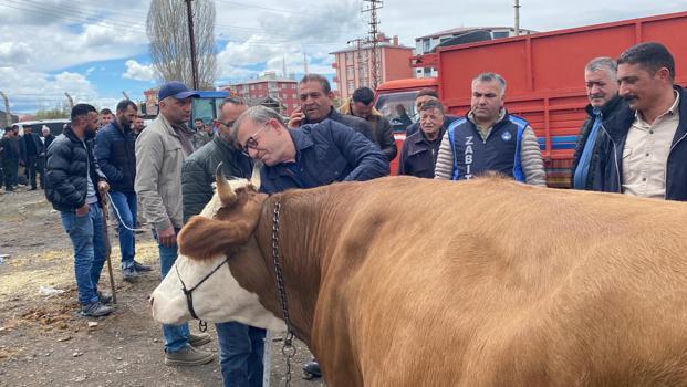 Vali Polat, kurban pazarlığında ara buluculuk yaptı