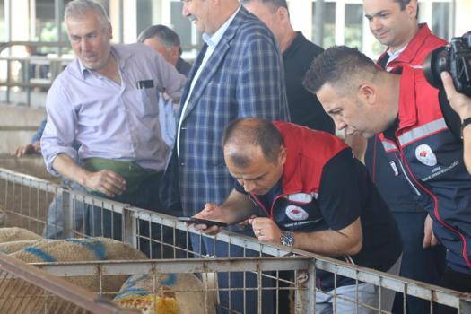 Edirne’de kurbanlık satış alanlarında denetim