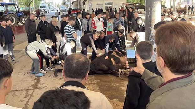Sivas'ta kurban kesim noktalarında hareketlilik