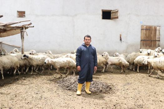 Hayvan sevgisiyle sağlığına kavuştu; köyüne dönüp modern tarım ve hayvancılığa başladı