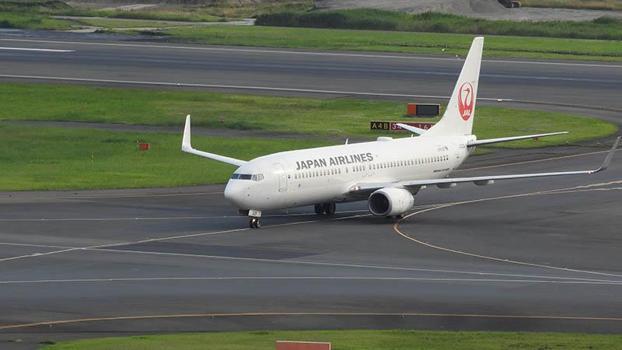 Japonya'da yolcu uçağı acil iniş yaptı