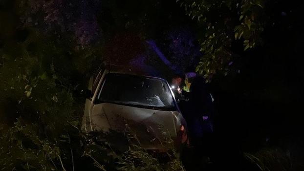 Bursa'da otomobil zeytinliğe uçtu: 2'si çocuk 4 yaralı