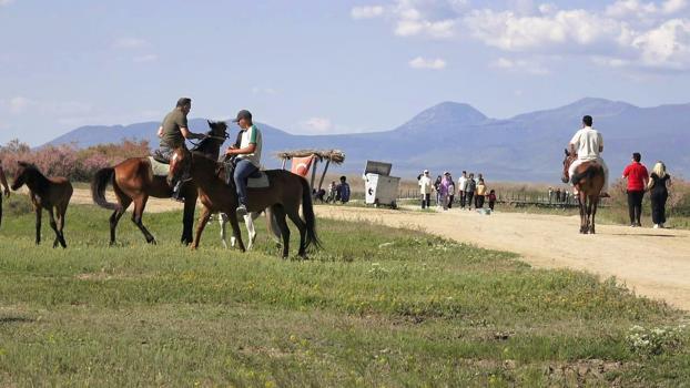 Sultan Sazlığı Milli Parkı'na bayramda ziyaretçi akını