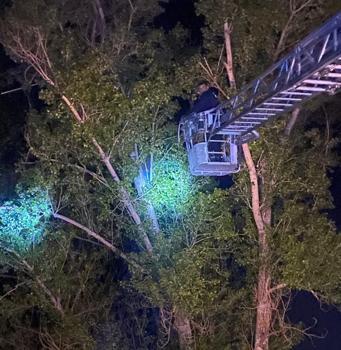 Dronunu kurtarmak için çıktığı ağaçta mahsur kaldı; itfaiye kurtardı