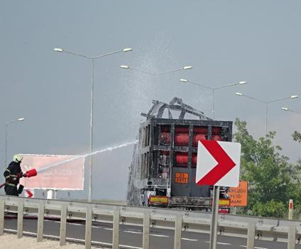 TIR'daki yangın ormana sıçradı (2)