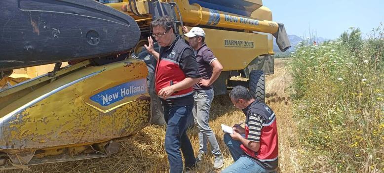 Biçerdöverler kontrol ediliyor
