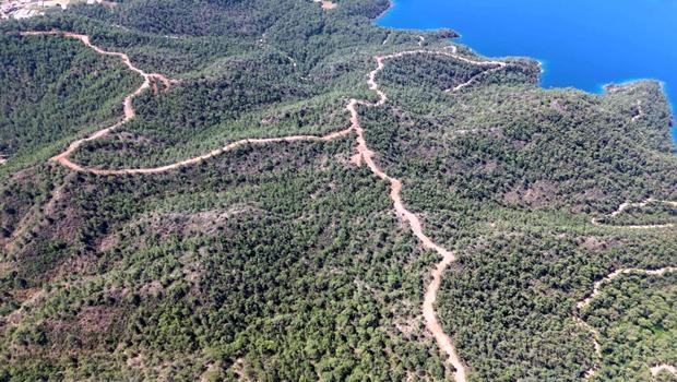 Muğla'da orman yangınlarına karşı önlemler artırılıyor