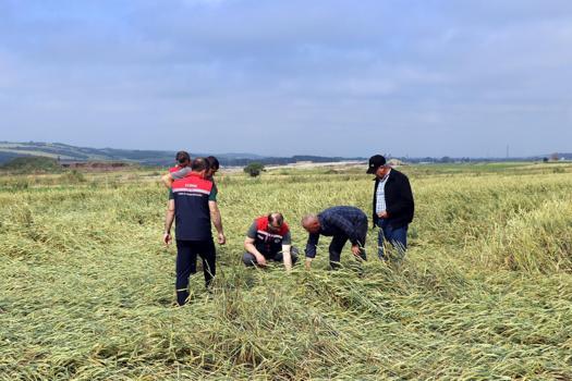 Edirne’de, doludan etkilenen tarlalarda inceleme