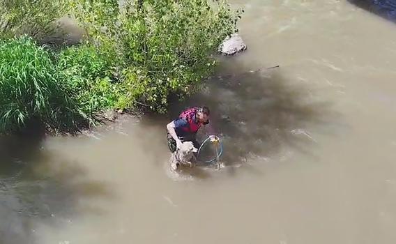 Kars Çayı'na düşen köpeği itfaiyeciler kurtardı