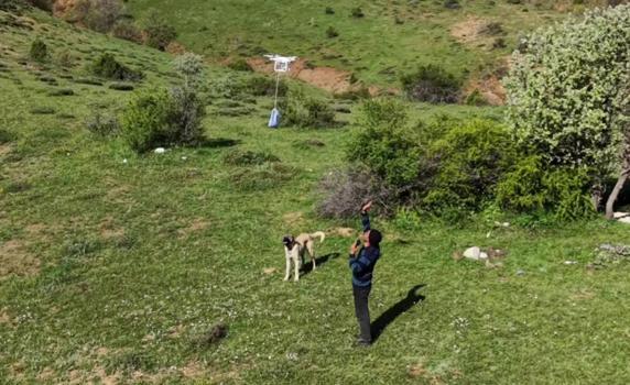 Arazideki çobanlara dronla 'şeker' gönderdiler