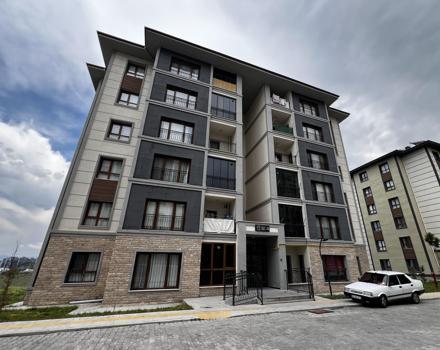 Annesiyle tartışan babasını bıçakladı