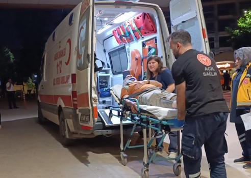 Erik toplarken ağaçtan düşüp, yaralandı