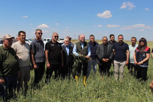 TZOB Genel Başkanı Bayraktar: Buğday rekoltesinin 23 milyon tona yaklaşmasını bekliyoruz
