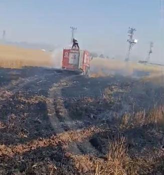 Şırnak’ta buğday ekili arazide yangın