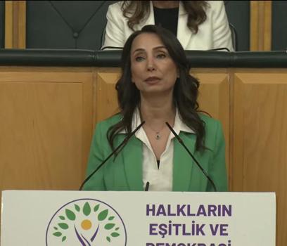 DEM Parti'li Hatimoğulları: Çerçeve yasa AKP ile görüşülmüştür
