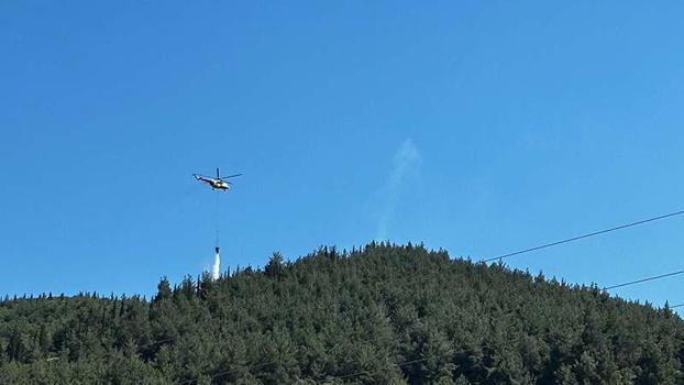 Manisa'da orman yangını