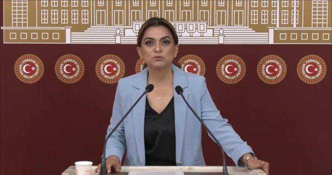 DEM Parti'li Koçyiğit: Barışın hukuksal bir güvenceye ihtiyacı var
