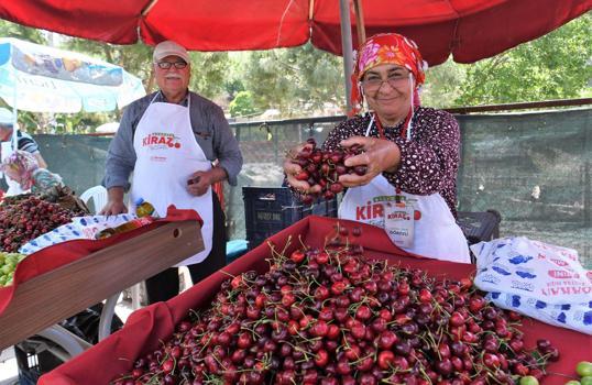 Bornova'da Kiraz Festivali 14 Haziran'da düzenlenecek
