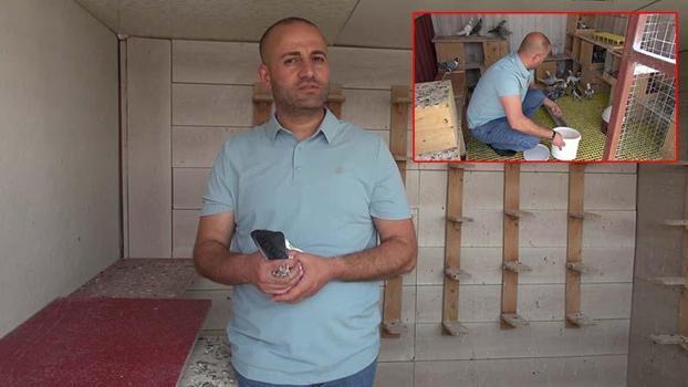 Sanal medya bağımlılığından güvercinler sayesinde kurtuldu