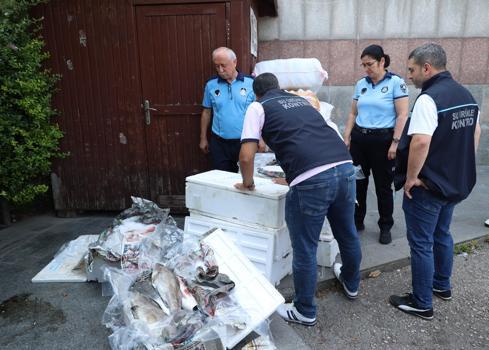 Antalya Otogarı'nda uygunsuz koşullarda taşınan balıklara el konuldu