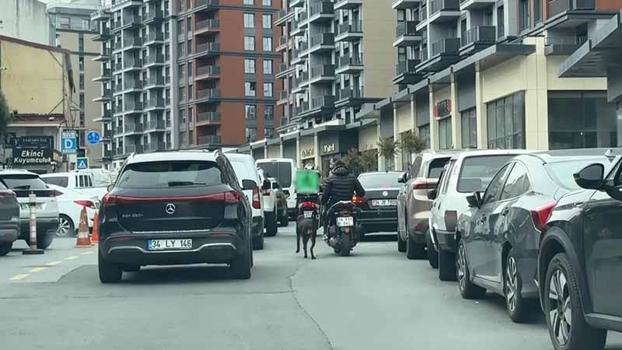 Seyrantepe’de motosiklete bağladığı köpeği metrelerce koşturdu: 8 bin 678 lira ceza kesildi