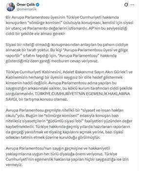 AK Parti'li Çelik: Türkiye'ye dönük bağnaz siyasi dilin hiçbir hükmü yoktur