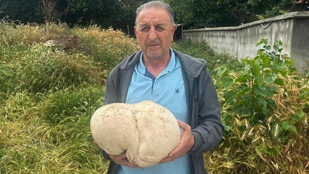 Bahçesinde 3,5 kiloluk mantar buldu