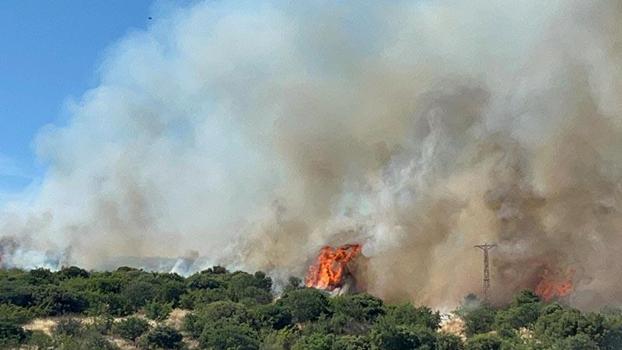 Çanakkale'de bozuk ormanda yangın