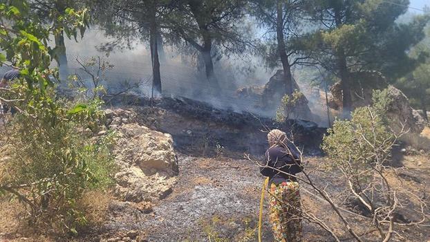 Kahramanmaraş’ta orman yangını
