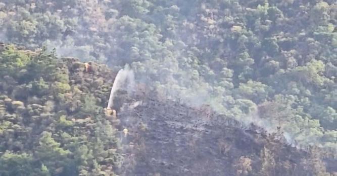Marmaris'te ormana yıldırım düştü, yangın çıktı (2)