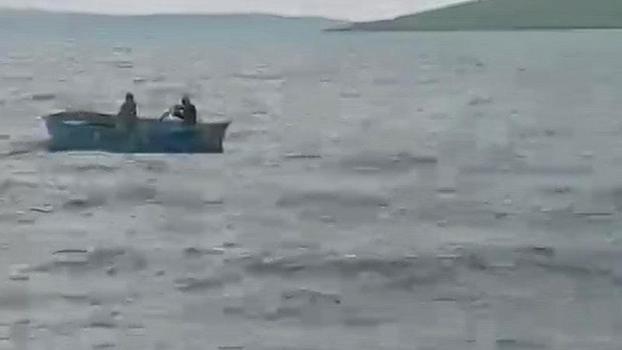 Çıldır Gölü’ne atlayan buzağı sandalla kurtarıldı; o anlar kamerada