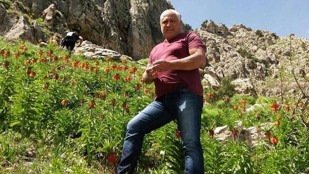 Mantar toplamak için çıktığı dağda ölü bulundu