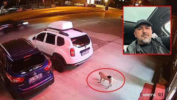Köpeğe çarpmamak için manevra yaptı, takla atan ATV'de öldü; kaza kamerada