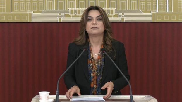 DEM Parti'li Koçyiğit: Çerçeve yasanın bir an önce TBMM'ye gelmesi gerekiyor