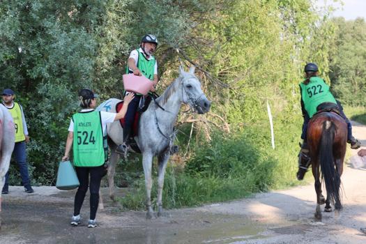 Ulusal Türkiye Şampiyonası ve Uluslararası Atlı Dayanıklılık Yarışmaları’na Kayseri ev sahipliği yaptı