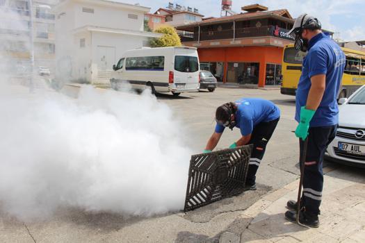 19 ilçede vektörle yoğun mücadele