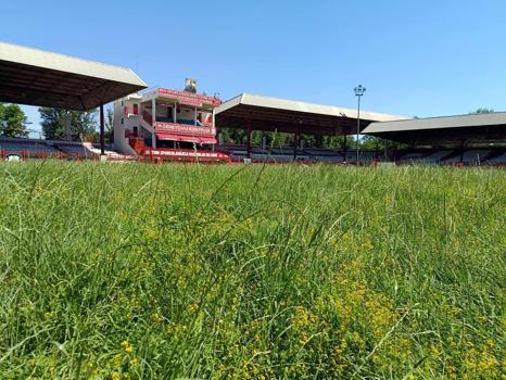 Son hazırlıkların sürdüğü Kırkpınar öncesi, 2 ton zeytinyağı Sarayiçi Er Meydanı’na getirildi
