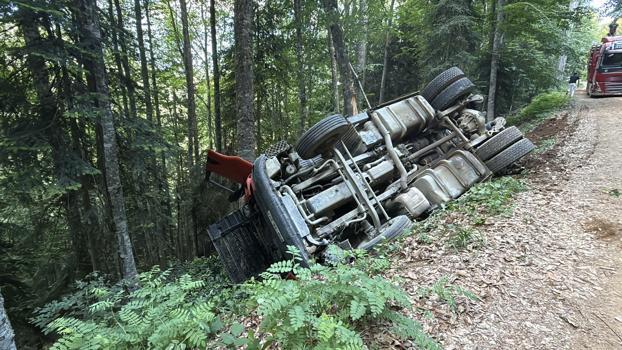 Orman yolunda devrilen TIR'ın sürücüsü yaralandı