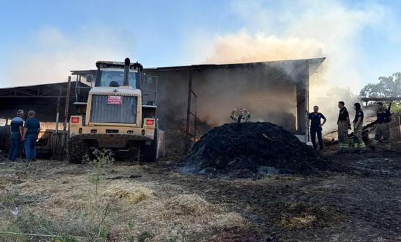 Bursa'da çiftlik yangınında 4 büyükbaş hayvan öldü