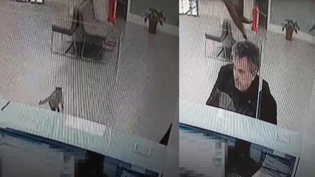 Bankada işlem yaparken üzerine kedi düştü; o anlar kamerada