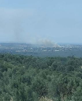 Çanakkale'de tarım arazisinde yangın